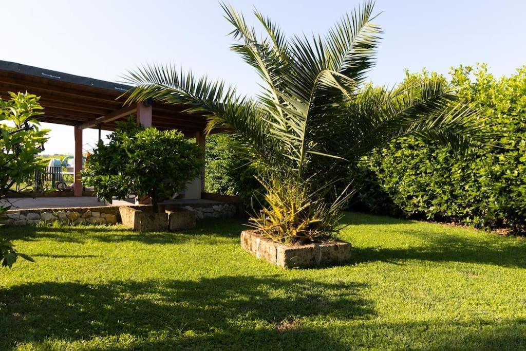 Casale Toscano Piscina Wi-Fi Capannori Εξωτερικό φωτογραφία